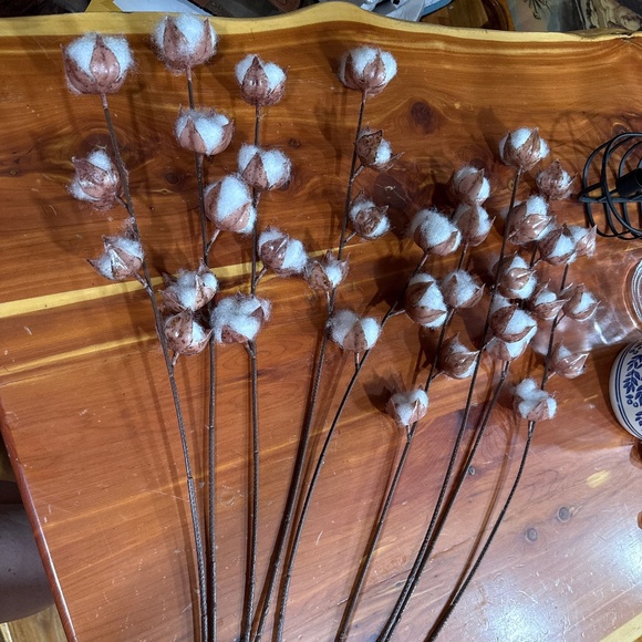 Other - Cotton pick stems lot of 8
